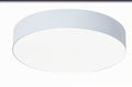 #00886C LED Flush Mount Light in White