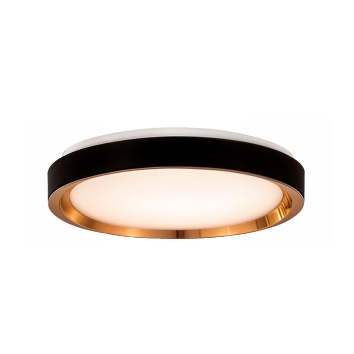 00919 15W LED Flush Mount Light in Black