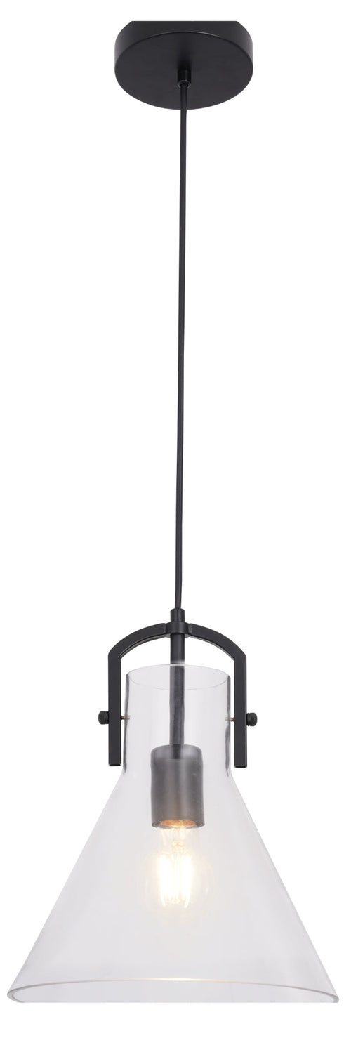 #01055 Pendant Light in Black