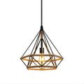 01620 Pendant Light in Black