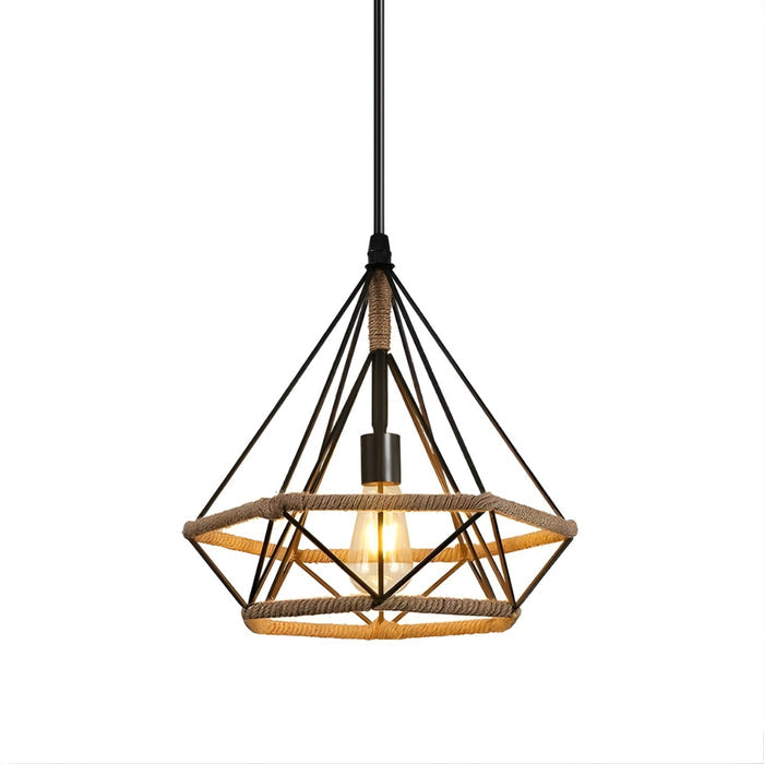 01620 Pendant Light in Black