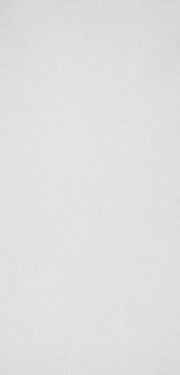 101 24x48" Porcelain Floor Tile