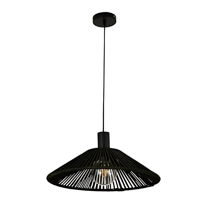20112 Pendant Light in Black