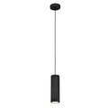 20123 Pendant Light in Black