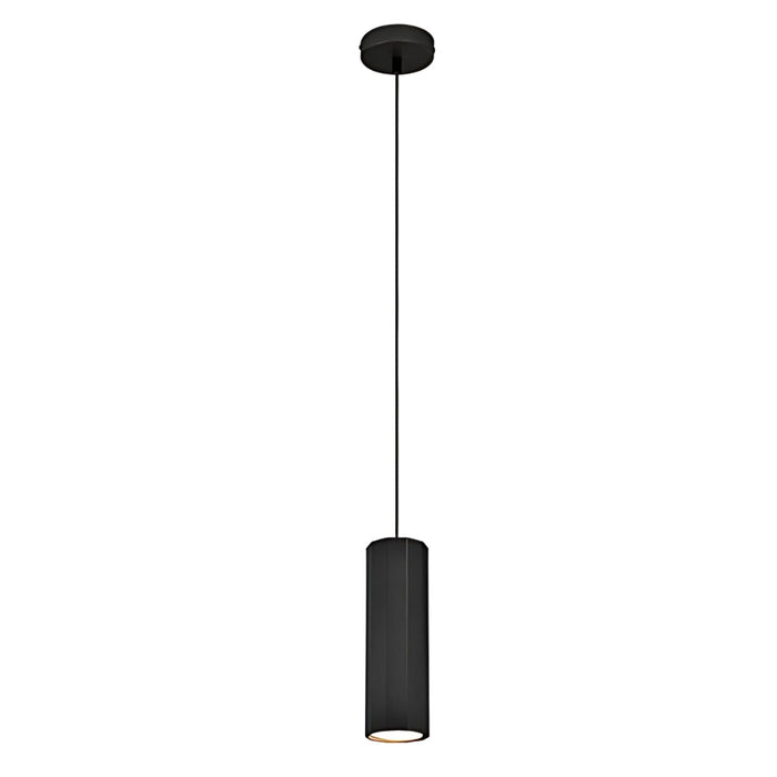 20123 Pendant Light in Black