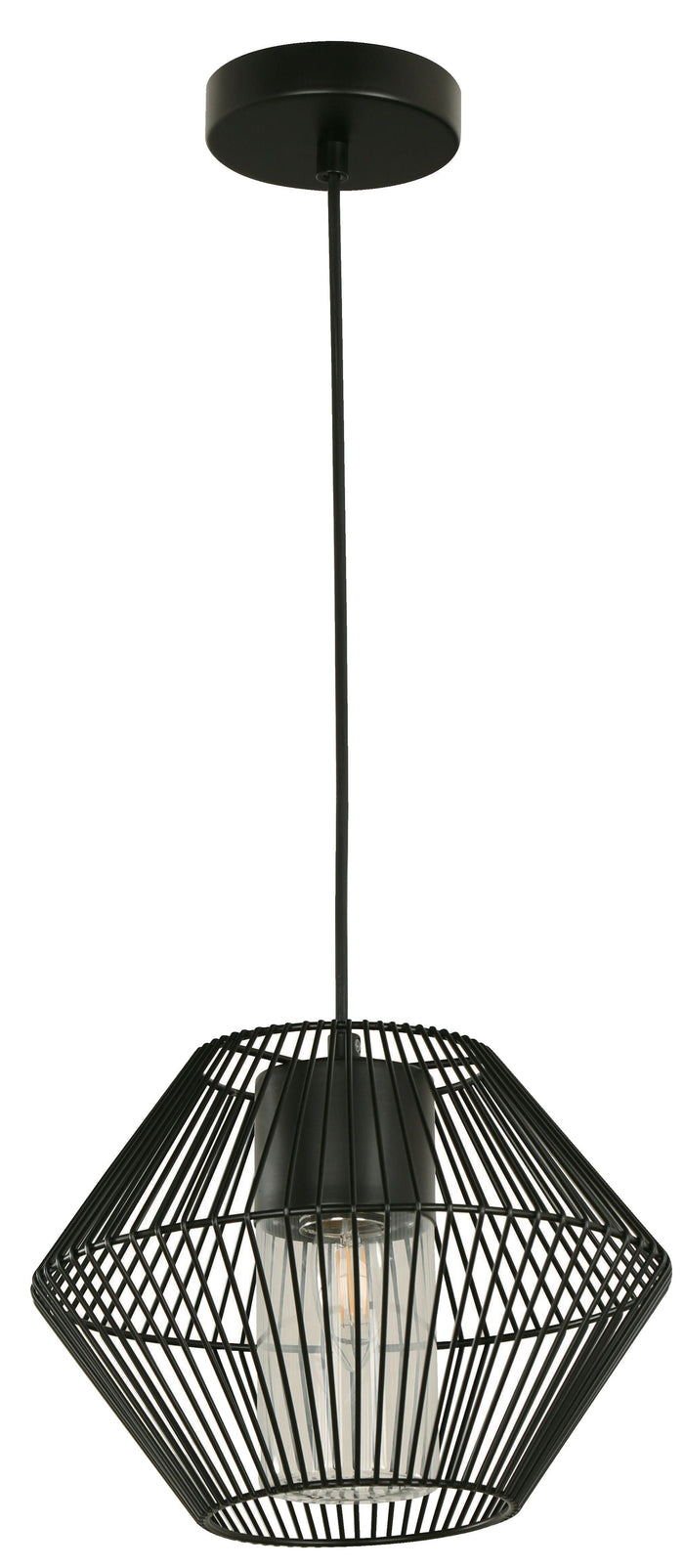 #22410-2 Outdoor Hanging Light in Black