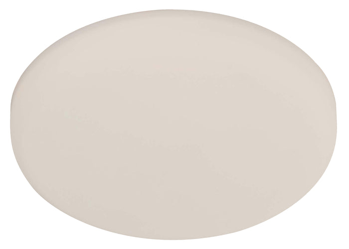 #23938 LED Surface Light in White