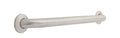 24" Grab Bar with Concealed Mounting in Stainless Steel