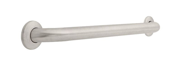 24" Grab Bar with Concealed Mounting in Stainless Steel