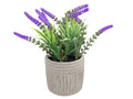 2403554 9" Artificial Lavender Plant w/Cement Pot