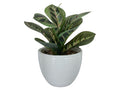 2403632 8" Artificial Plant w/Ceramic Pot