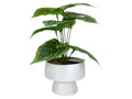 #2403636 13" Artificial Plant w/Ceramic Pot