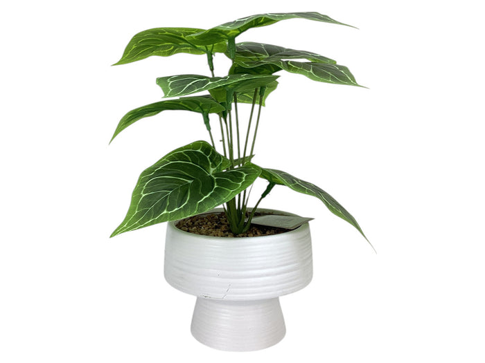 #2403636 13" Artificial Plant w/Ceramic Pot
