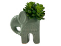 2403645 6" Artificial Plant w/Ceramic Elephant Pot