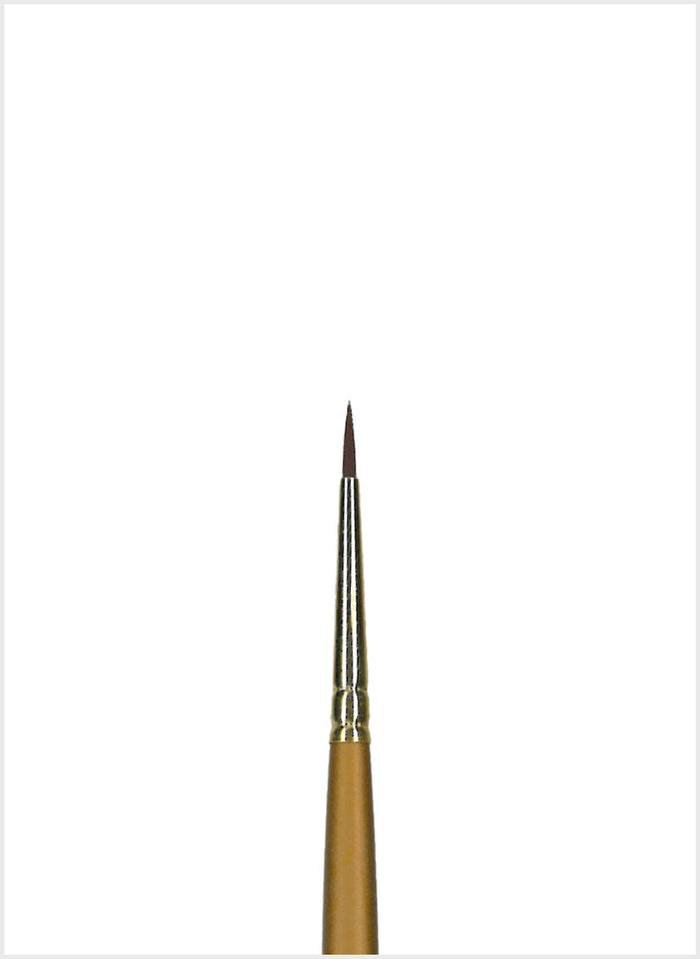 3010 Sableon Round