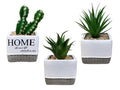 #37686 Artificial Plant in Assorted