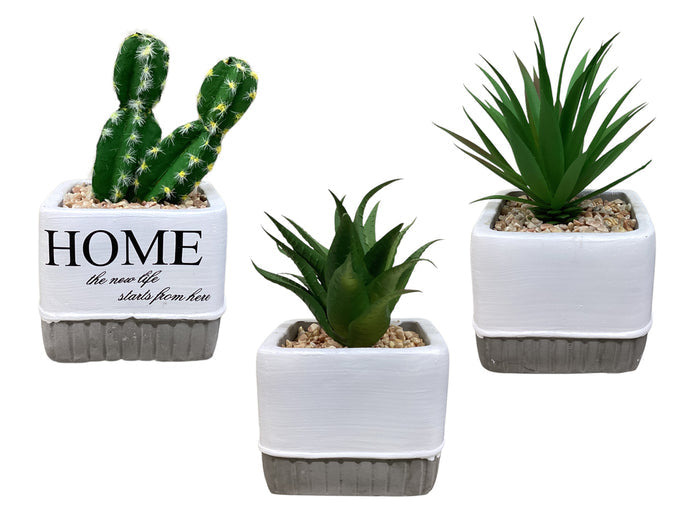 #37686 Artificial Plant in Assorted