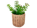 38857 Artificial Plant