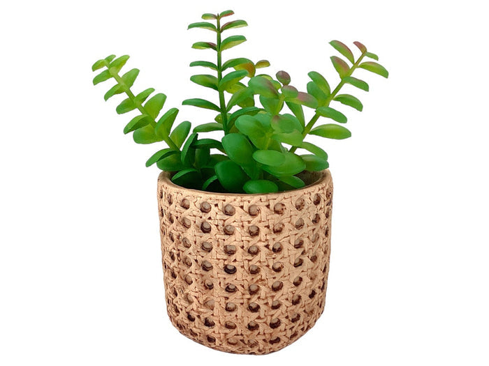 38857 Artificial Plant