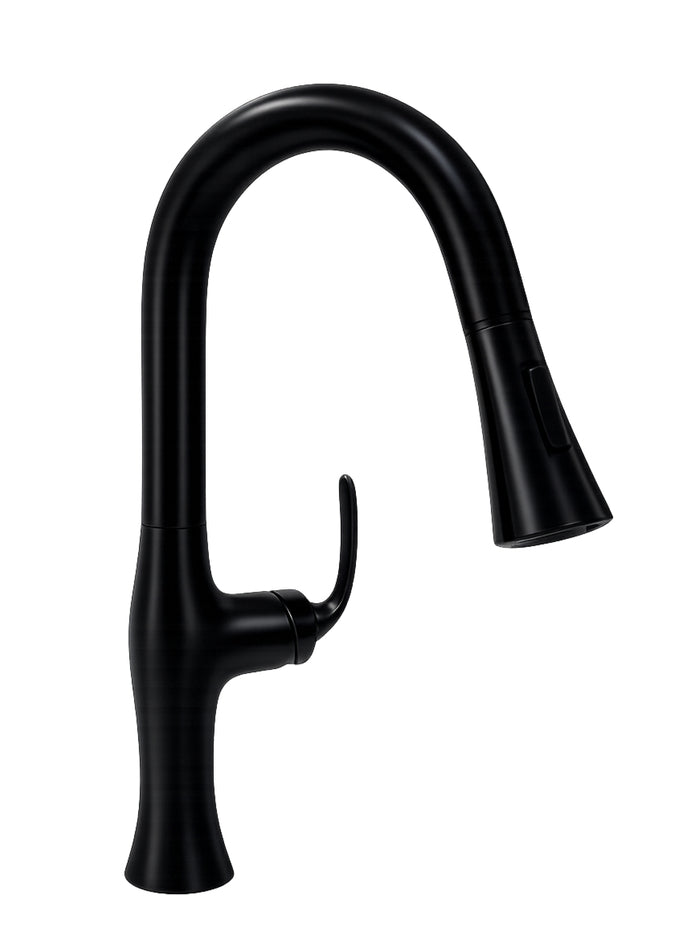 #503778 Kitchen Faucet in Matt Black