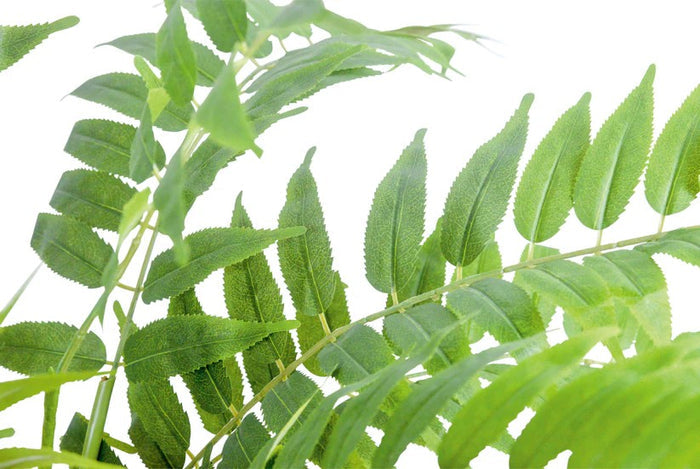 #A54200045 Artificial Plant