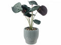 Artificial Plant #718-2400726 - Grey/Green