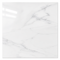 Bianco Luxe 24x24" Porcelain Floor Tile