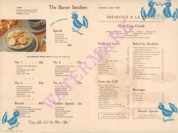Bird with Chicks Baron Steuben Hotel Corning NY 1950s Posters Prints & Visual Artwork