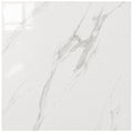 #CB6Y124PA 24x24" Porcelain Floor Tile