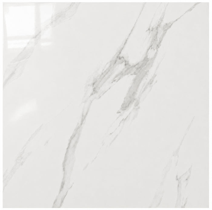 #CB6Y124PA 24x24" Porcelain Floor Tile