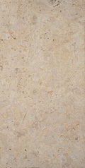 Classic 12x24" Coral Stone Saw Cut