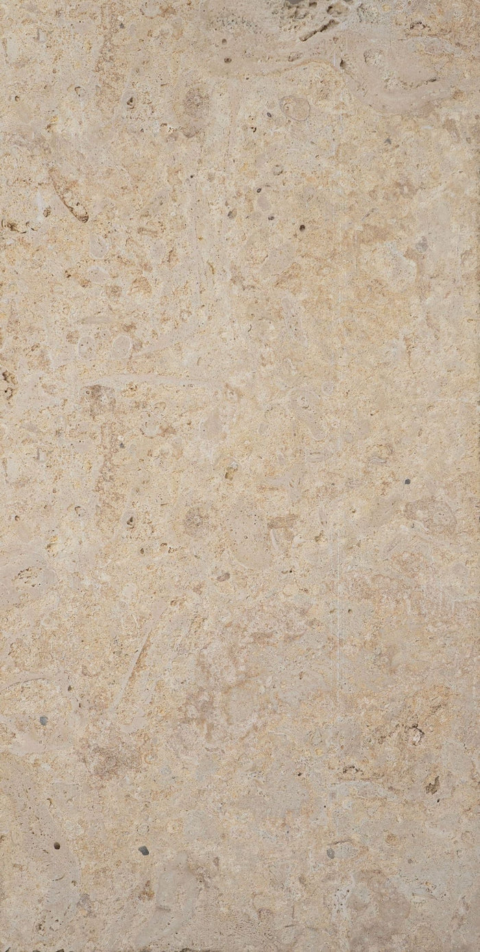 Classic 12x24" Coral Stone Saw Cut