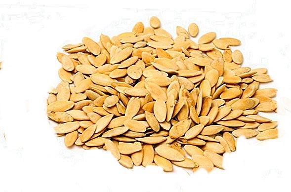 cucumber-seeds