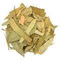 dried-eucalyptus-leaves