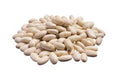 Dried white beans
