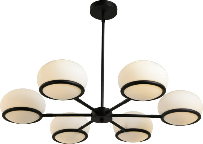 #DU31956 6 Light Pendant Light in Black