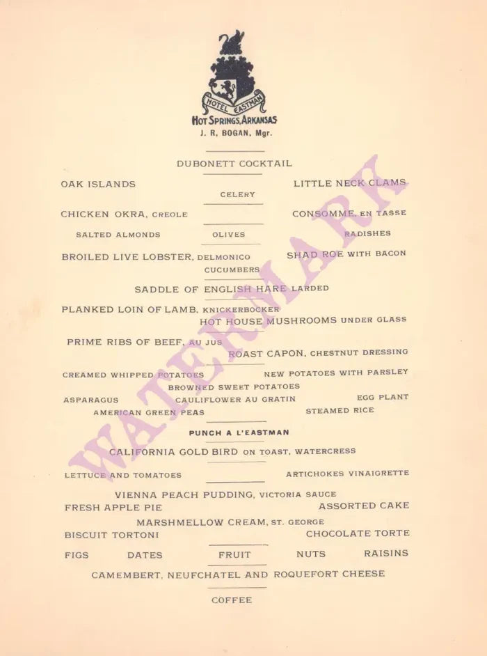 Eastman Hotel Hot Springs Arkansas 1910 Posters Prints & Visual Artwork