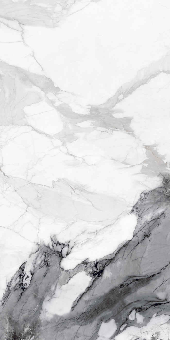 Eternal Black 24x48" Porcelain Floor Tile