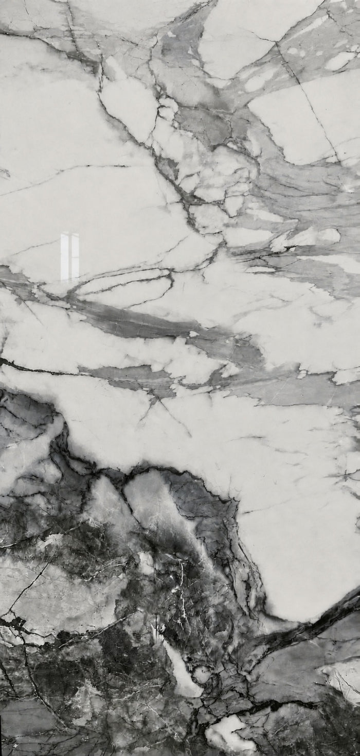 Eternal Black 24x48" Porcelain Floor Tile