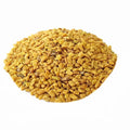 fenugreek-seeds-tokhme-shanbalileh