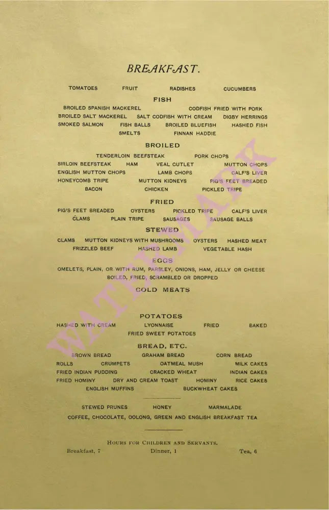 Fifth Avenue Hotel Menu, New York 1900