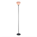 Floor Lamp 1-Light #9062F -Grey
