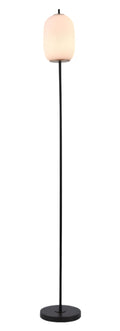 Floor Lamp  #ML82155-1 -Black/White