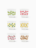 Fruity Fiesta - NATURAL 12oz Arc