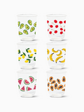 Fruity Fiesta - NATURAL 16oz Arc