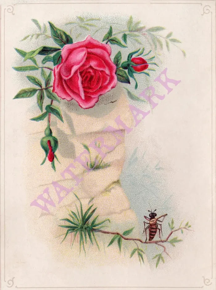 Idanha Hotel 1, Soda Springs Idaho 1890 Menu Art