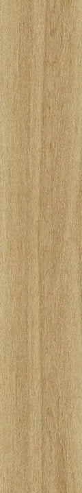 Islandia Arce In/Out 8x48" Porcelain Floor Tile