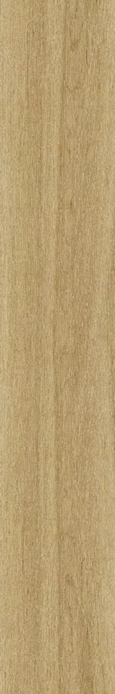 Islandia Arce In/Out 8x48" Porcelain Floor Tile