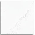 Le Blanc AC 23x23" Porcelain Floor Tile