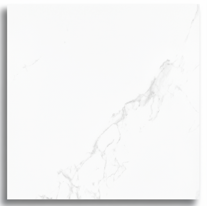 Le Blanc AC 23x23" Porcelain Floor Tile